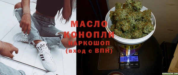 стаф Гусь-Хрустальный