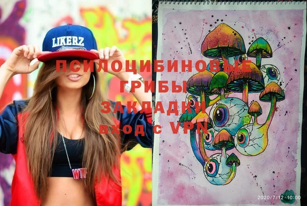 эйфоретик Гусиноозёрск