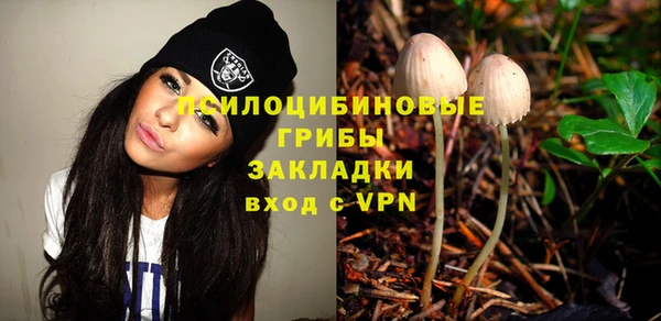 эйфоретик Гусиноозёрск
