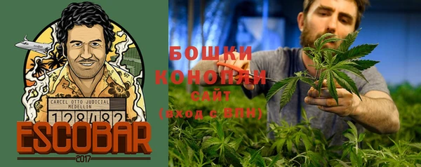 стаф Гусь-Хрустальный