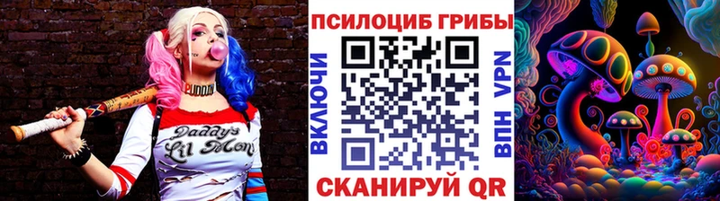Купить  Котлас  Псилоцибиновые грибы ЛСД 
